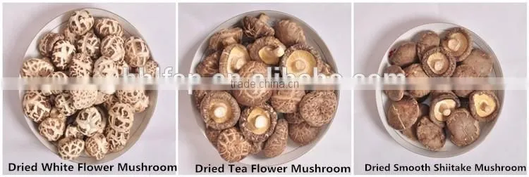 Wholesale Factory Prices for Shiitake 1KG