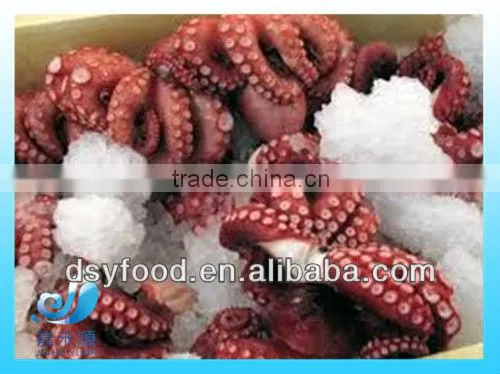 nice-looking frozen octopus