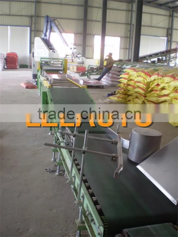 robot palletizer