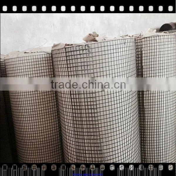 green pvc coated welded wire mesh 1/2 inch