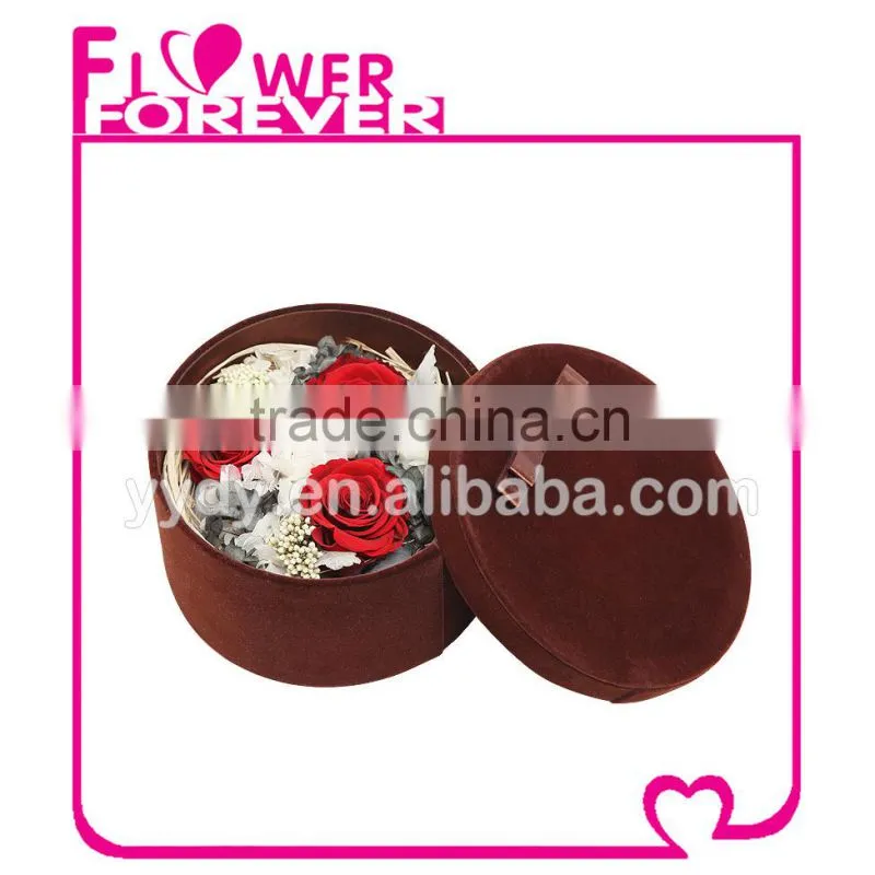 Best Selling Natural Preserved Flower