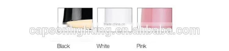 white /pink flower bamboo hat lights ; iron Floor Lamp; room decoration light