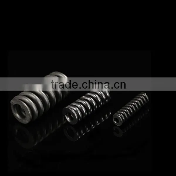 Bosch Fuel Injector Spring 2434619017