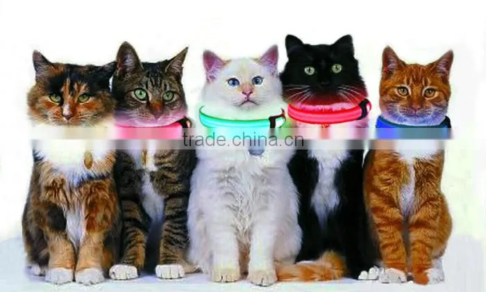 2016 Hot Sales Luminous Cat Leash As New Year Gift