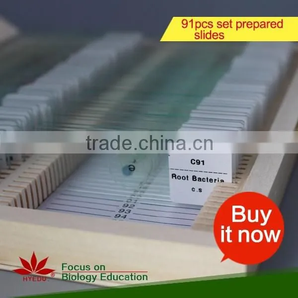 lab Prepared Slides , Glass Prepared Slides,science prepared slides