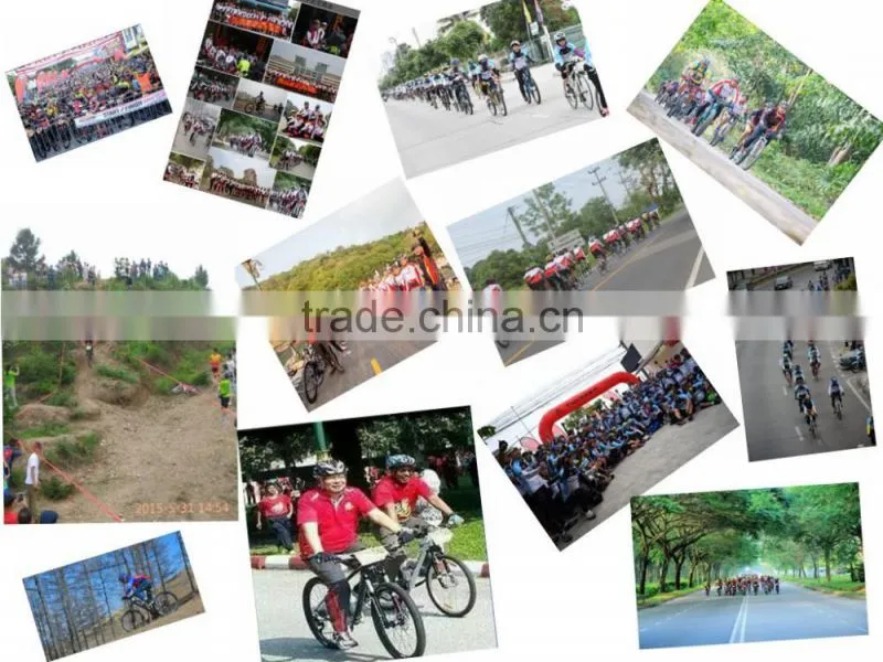 shenzhen bicycle 20 inch folding bike for girls