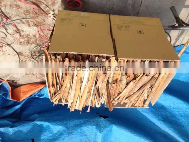 SUPPLY CLOVES (Call: +84 1687264621)