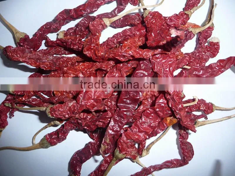 Authentic meduim spicy dried red xian chilli