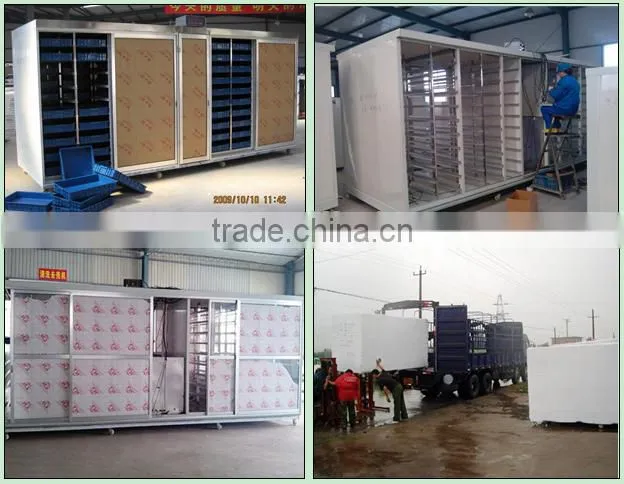 2014 newest advantage animal feeding machine