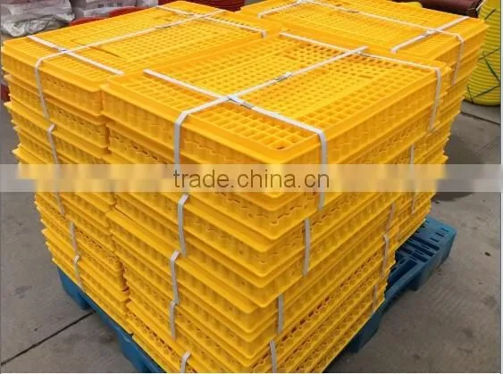Good quality plastic pigeon transport cage/animal transport cage with cheap price