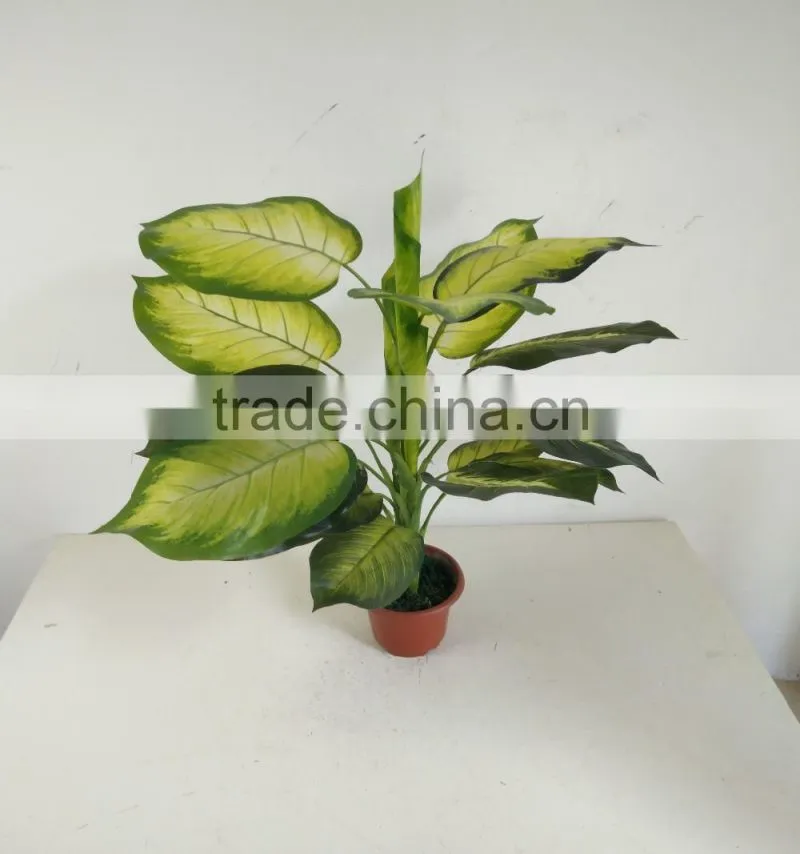 artificial rohdea fake dieffenbachia artificial decorative evergreen