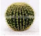 indoor & outdoor decoration artificial ball cactus