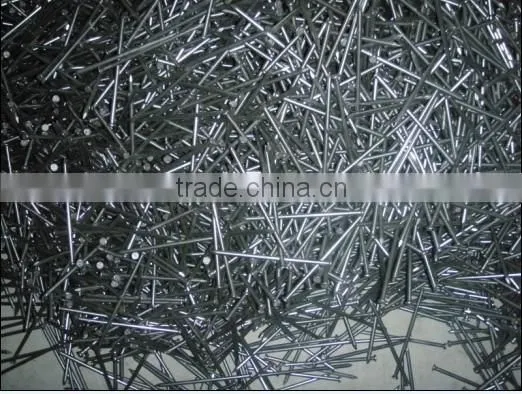 Polish common nails