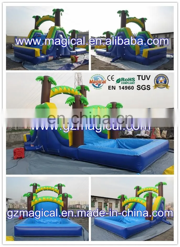 Outdoor Custom Adult Giant Inflatable Double Lane Slip Slide