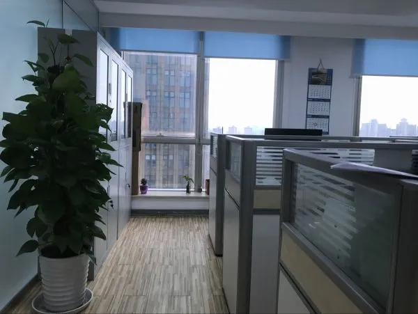 Shanghai Sunhill Shipping Co.,LTD company overview - view 2