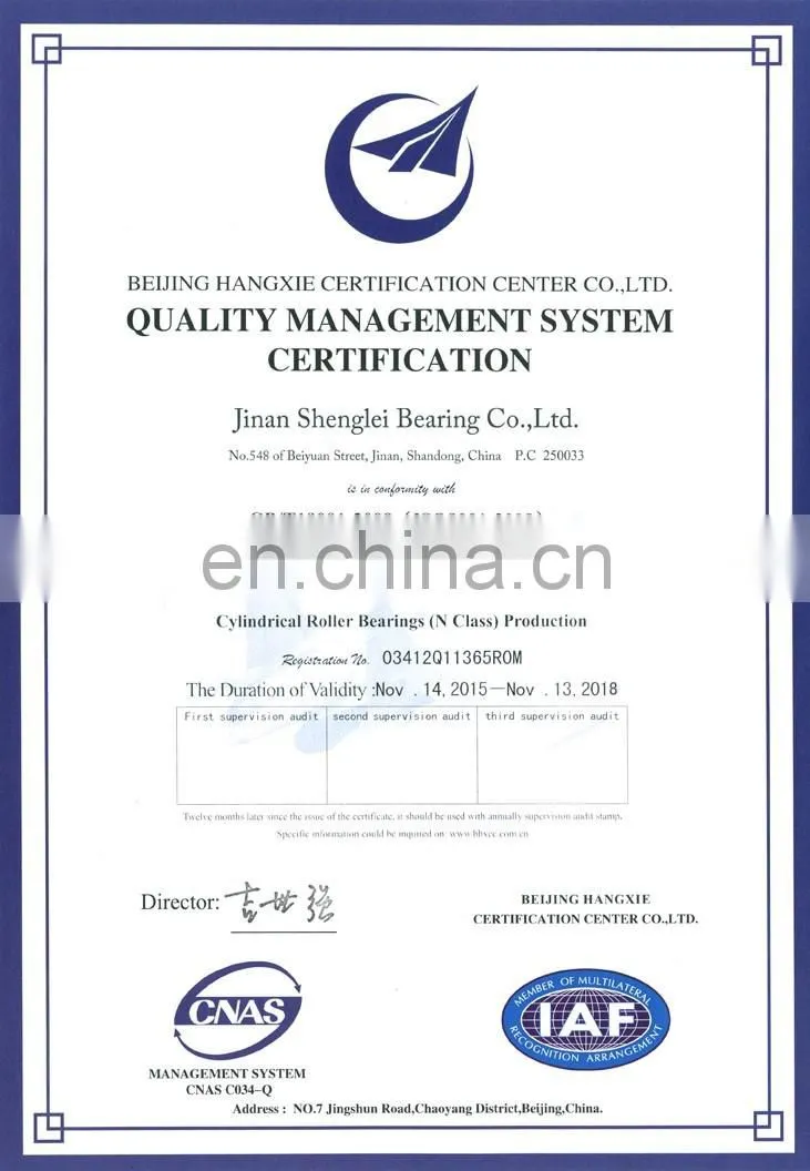 Germany bearing SL 05020 E Outer Spherical Cylindrical Roller Bearing SL05020E