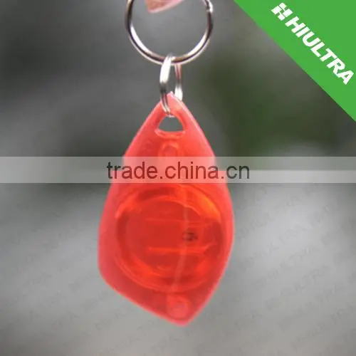 Transparent Visible Chip Keytag