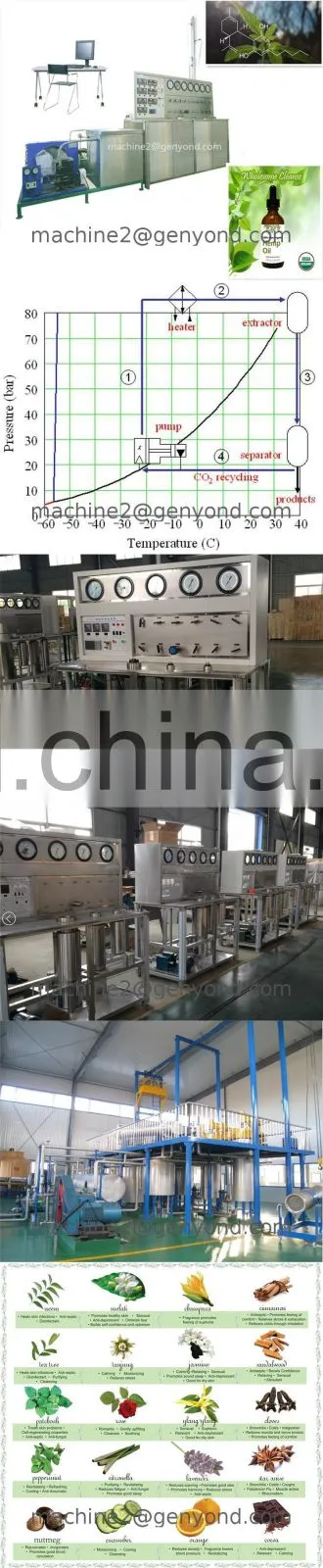 Professional cbd oil ethanol extraction machine with cheap price