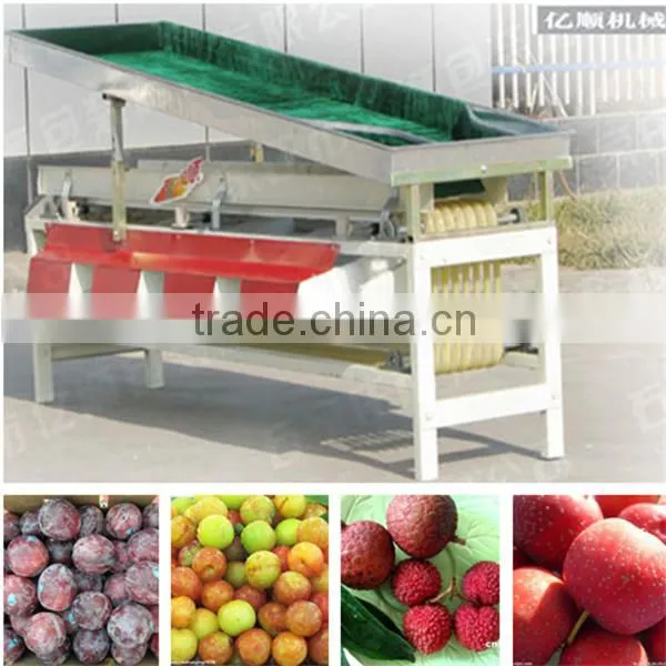 fruit sorting machine for sale