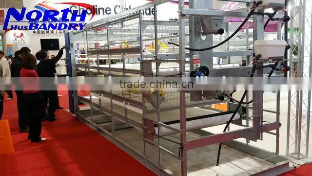 Clean Plastic Poultry Slat Floor For Chicken