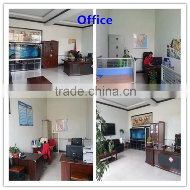 Hot sale Natural color sand type silica quartz sand price for glass application