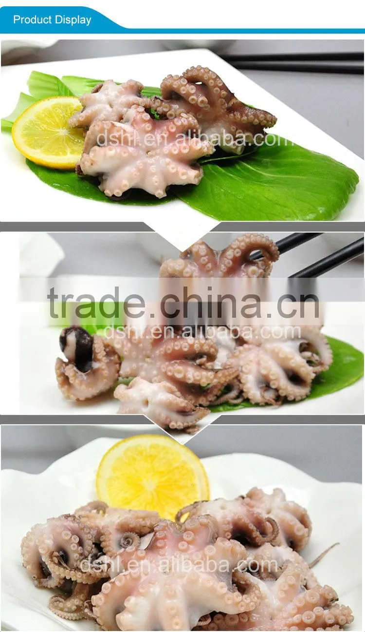 Good quality frozen octopus for sale