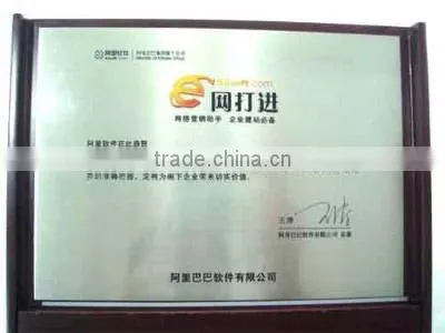 e,alisoft.com Certificate