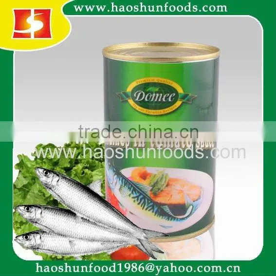 Canned Mackerel Fish in Tomato Sauce