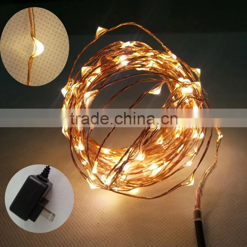 6M LED rice lights with 4 customerized plug adapter