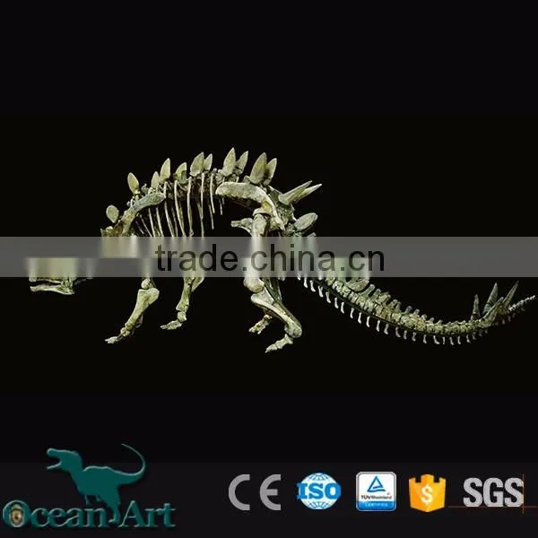 BY-DY-041508 Natural Science Dinosaur Skeleton Model For Museum