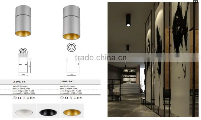 9/15/23/31w Mordern surface mounted led ceiling lamp/ceiling led lamp/ceiling lamp led