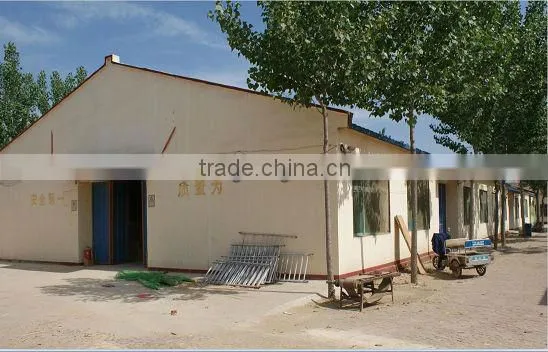 2013 New Design Wooden Craft for Wall