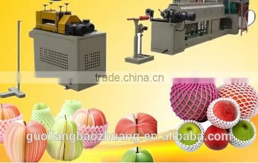 BV Onsite Check Assessed Supplier Polythene Expanded Foam Netting For Citrus Fruit Packaging