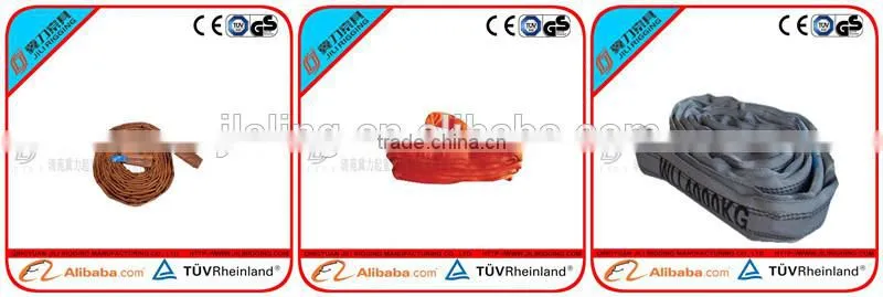 1T safety polyester webbing /webbing sling/round webbing sling with CE&GS