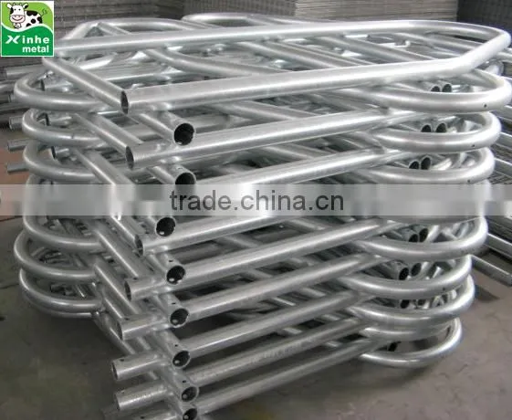 New design Cattle cow free stall cattle cubicles
