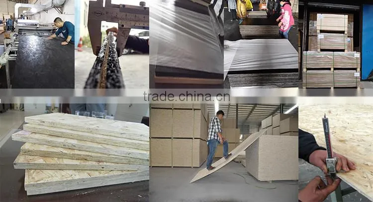 Raw Cheap Furniture Grade OSB1 OSB2 OSB3 OSB4