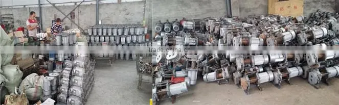 Top Grade Professional ISO 9001 Electric Hoist Rental