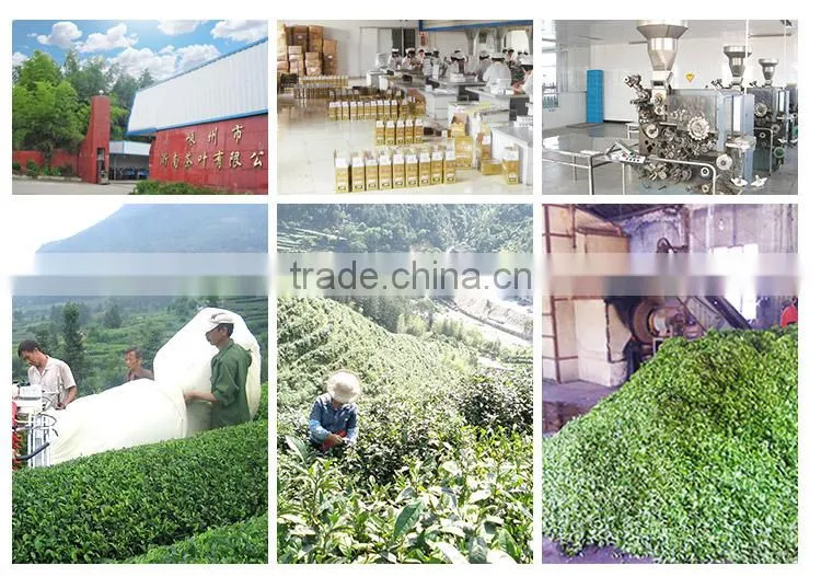 puer tea