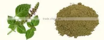 STAVIA POWDER FOR AYURVEDIC REMEDY