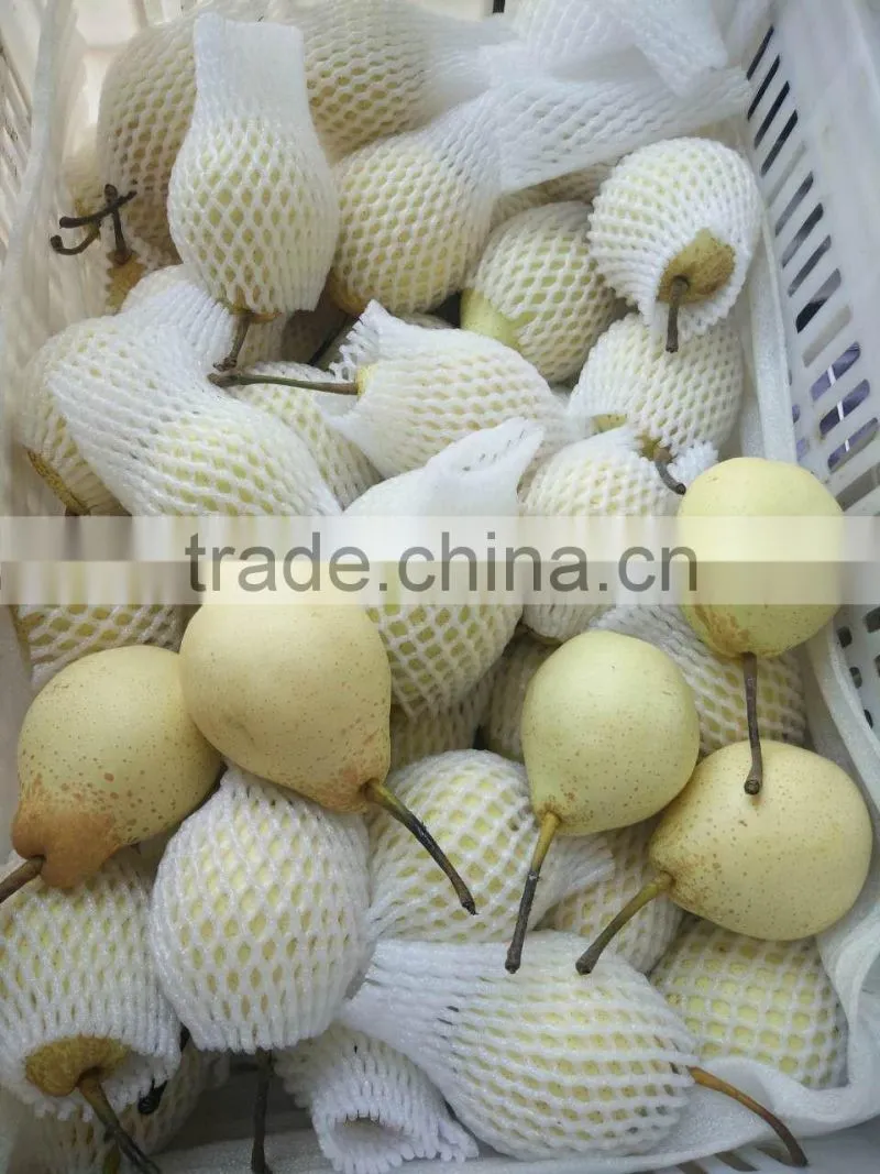 new crop thailand fruit farm ya pear