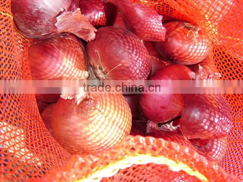 Fresh Onion ( Red - Yellow - White - spring) crops 2014