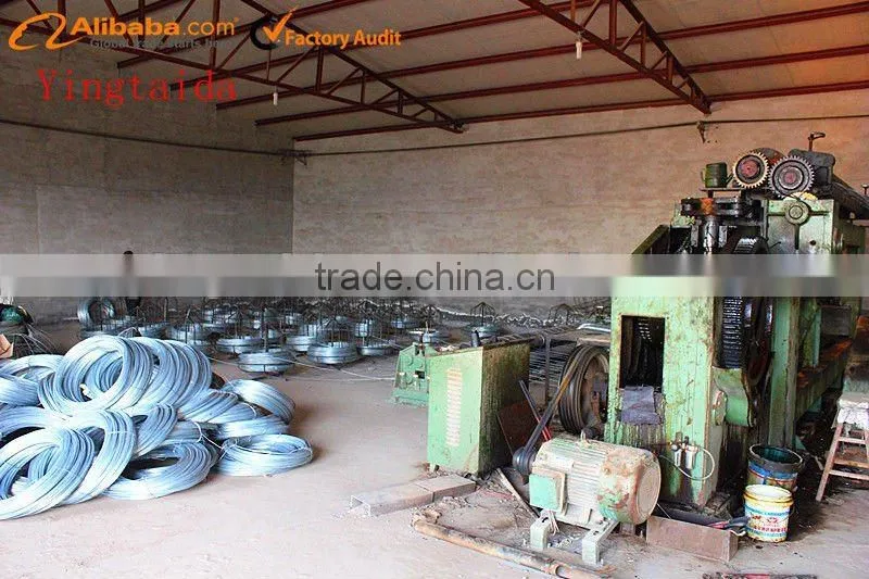 Wire Mesh,hexagonal wire mesh