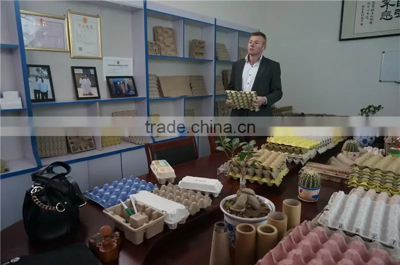 2015 hot sale economical pulp egg tray molding machine made in China Skype:ritaz060