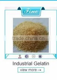 kosher halal gelatin/edible glue gelatin powder/unflavored pork skin gelatin