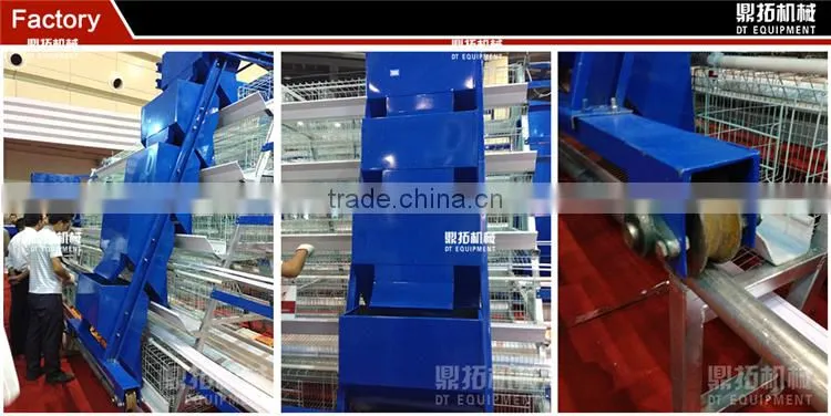 Design automatic equipment A type chicken house in poultry farm