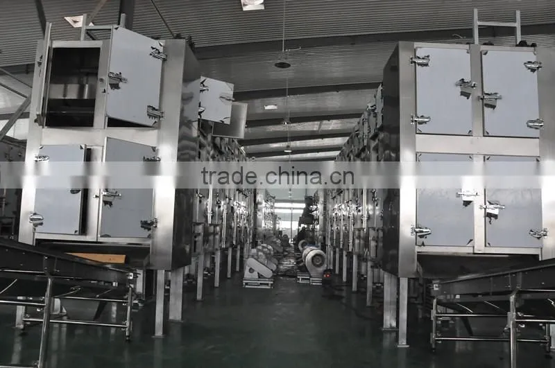 Rose Bud Hot Air Assistated Microwave Drying Machine
