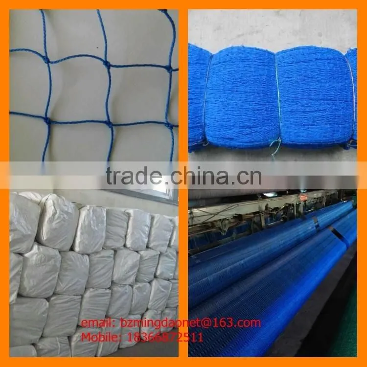 hdpe green scaffold safety netting/construction safety net/agriculture shade net
