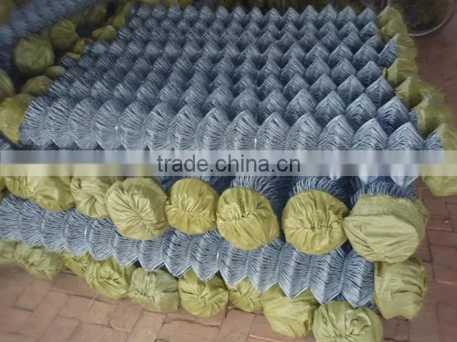 HOT SALE!PVC coated& electro galvanized Chain Link Fence