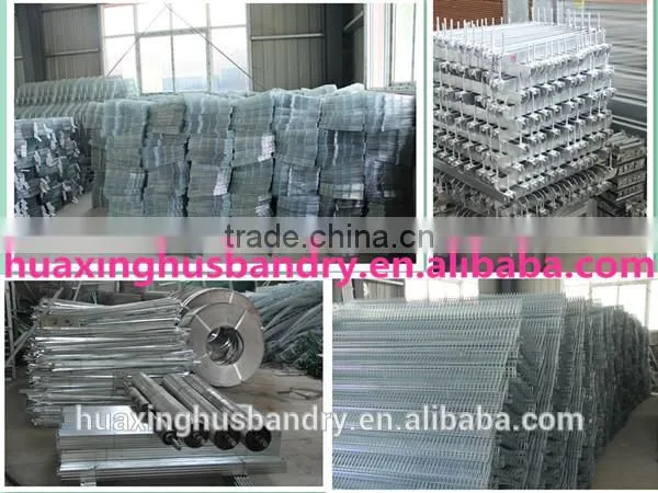 chicken broiler /cock cage with automatic poultry equipment