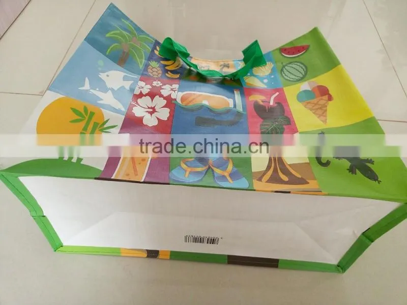 Vietnam Reusable PP Woven Shopping Bag